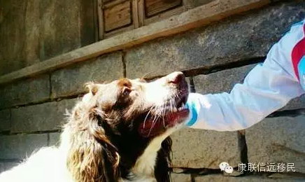 午觉有多重要？意大利、西班牙纷纷为午休立法
