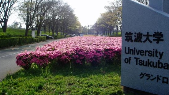 日本排名前十的是哪所大学
